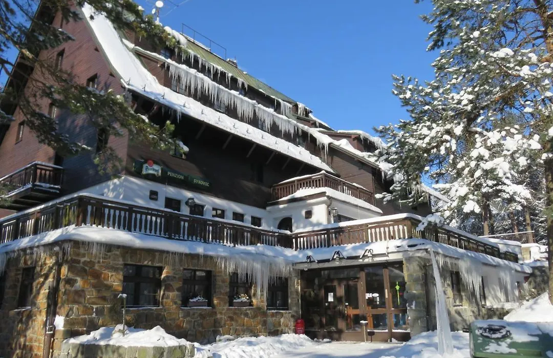 Penzion Sykovec-1